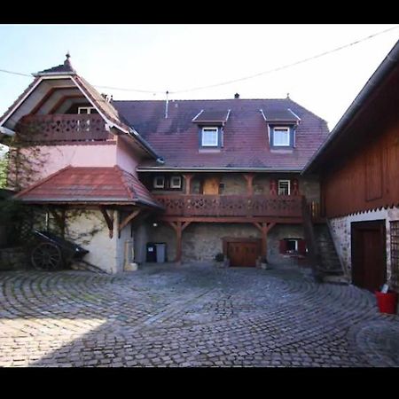 Gite Du Heidenberg Osenbach エクステリア 写真