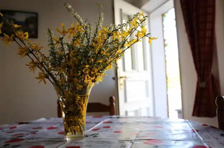 Gite Du Heidenberg Osenbach エクステリア 写真